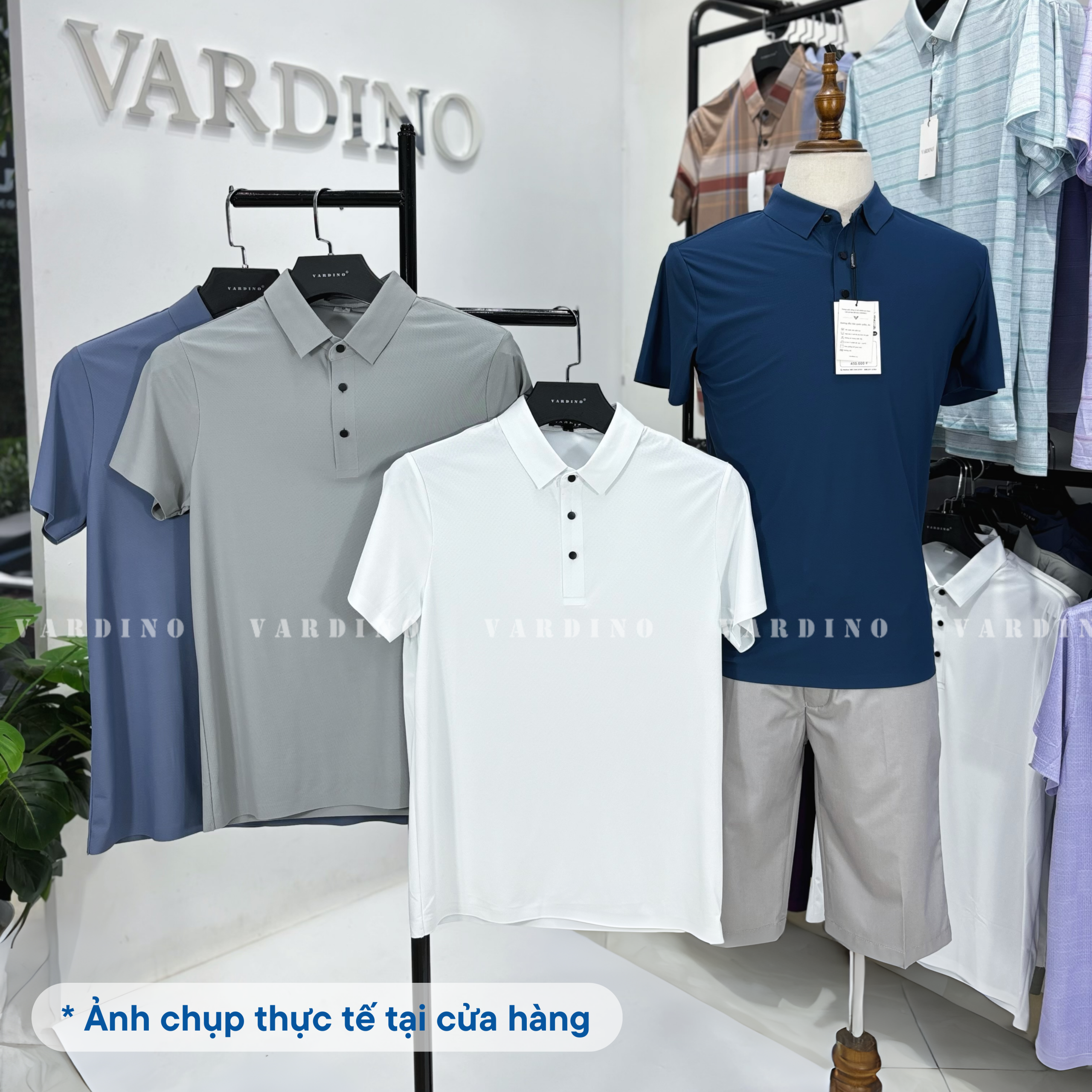 Áo polo nam Vardino P091011121331