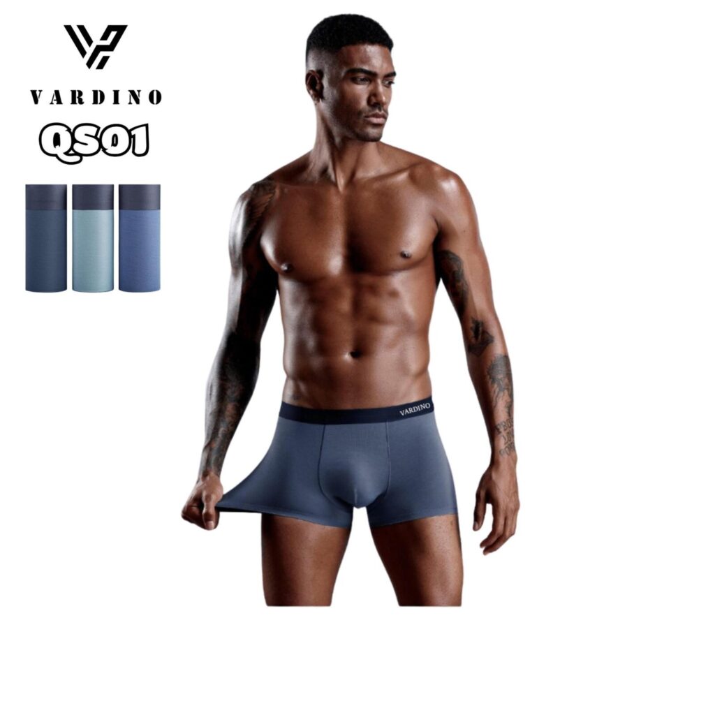 Quần lót nam boxer Vardino QS01 1