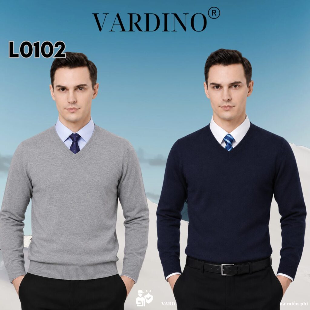 Áo len cổ chữ v cho nam Vardino L0102 1